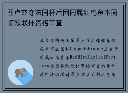 图卢兹夺法国杯后因同属红鸟资本面临欧联杯资格审查 图卢兹夺法国杯后因同属红鸟资本面临欧联杯资格审查